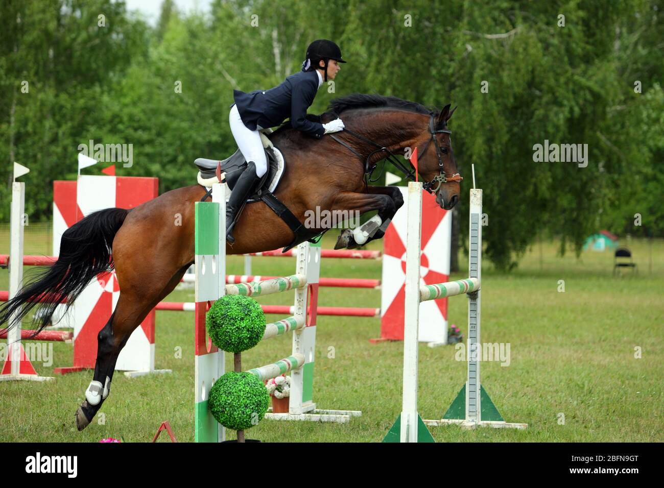 Sports woman jump over obstacles on horseback. Horseback riding Stock