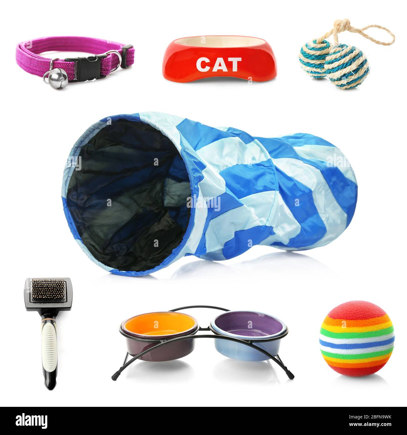 Cat Accessory Different cats accessories on white background Stock Photo - Alamy