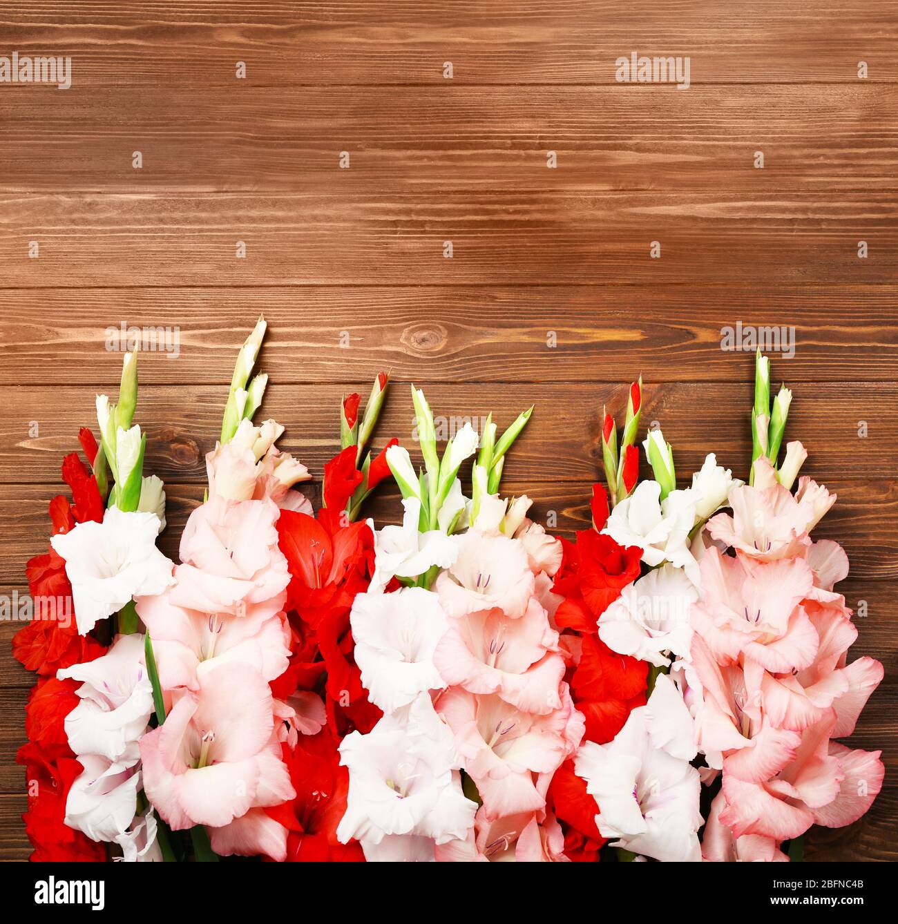 Beautiful flowers on wooden background Stock Photo