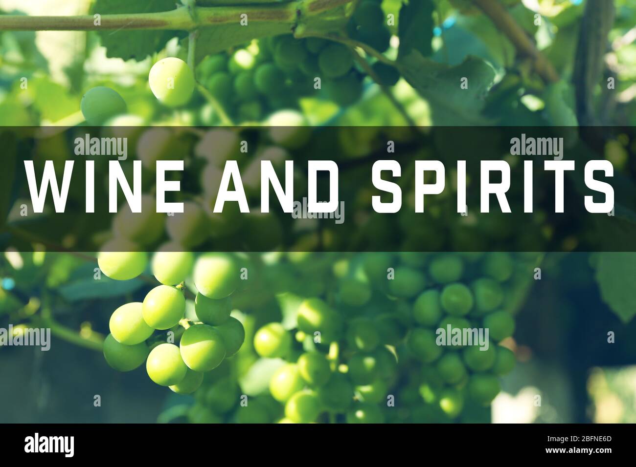 Text WINE AND SPIRITS on grape background Stock Photo Alamy