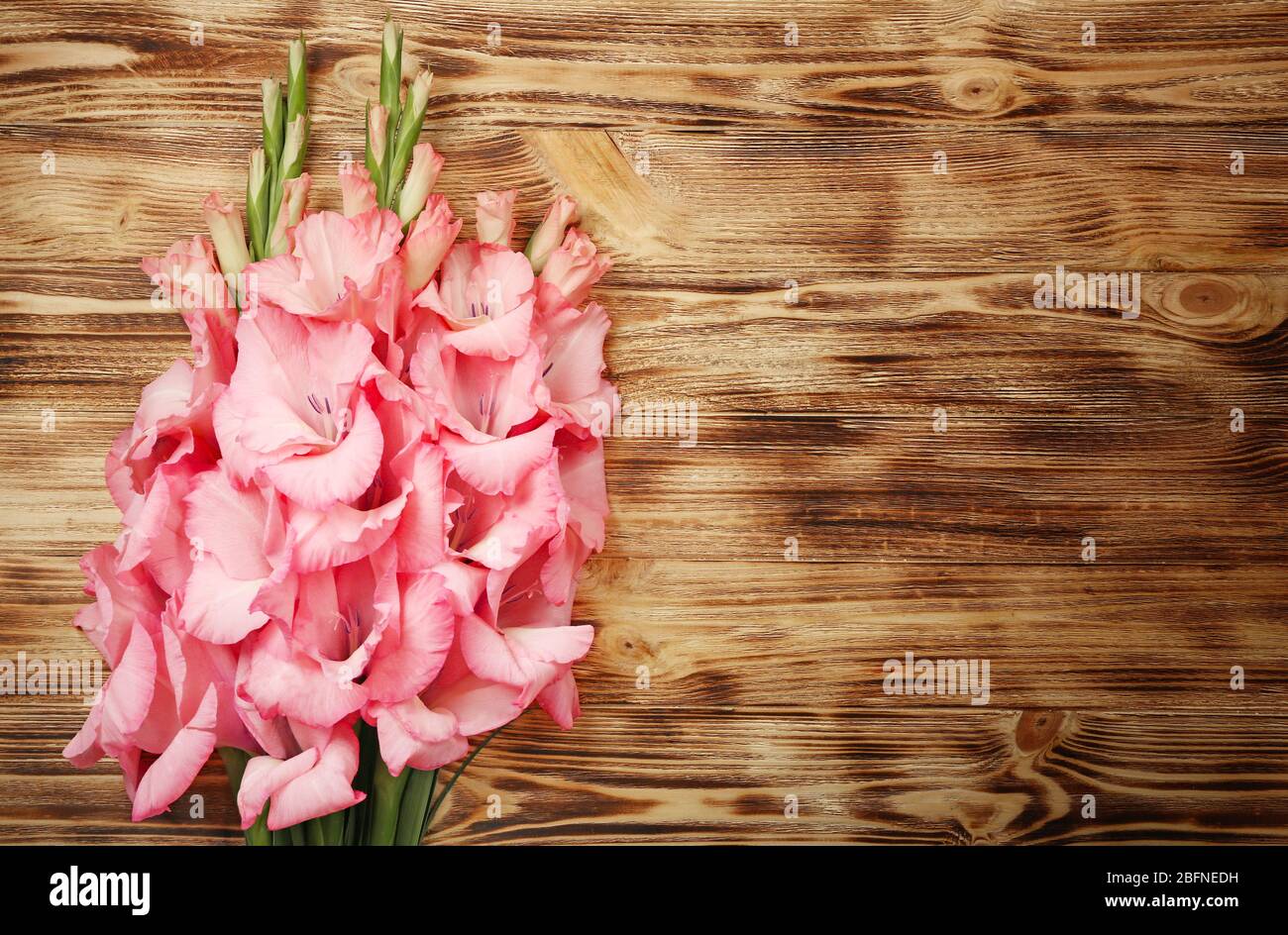 Beautiful flowers on wooden background Stock Photo