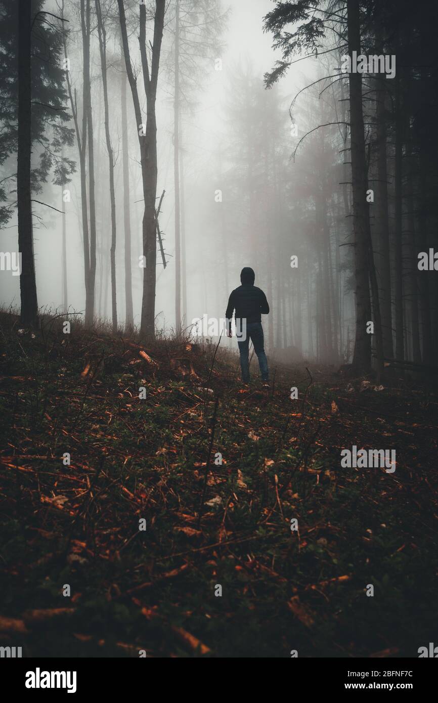 fog in a forest at night with mysterious silhouette and light in the ...