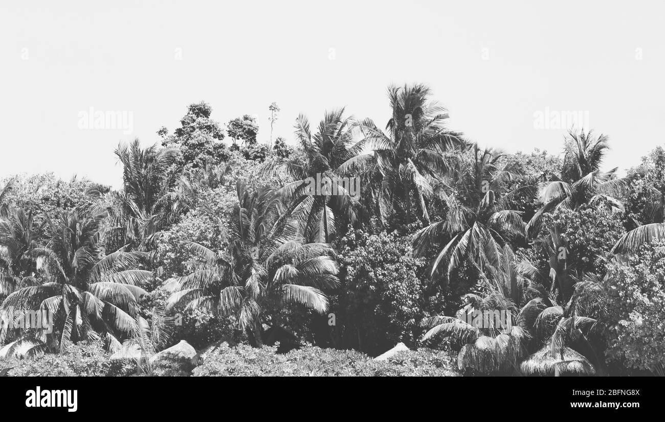Beautiful view resting place Black and White Stock Photos & Images - Alamy