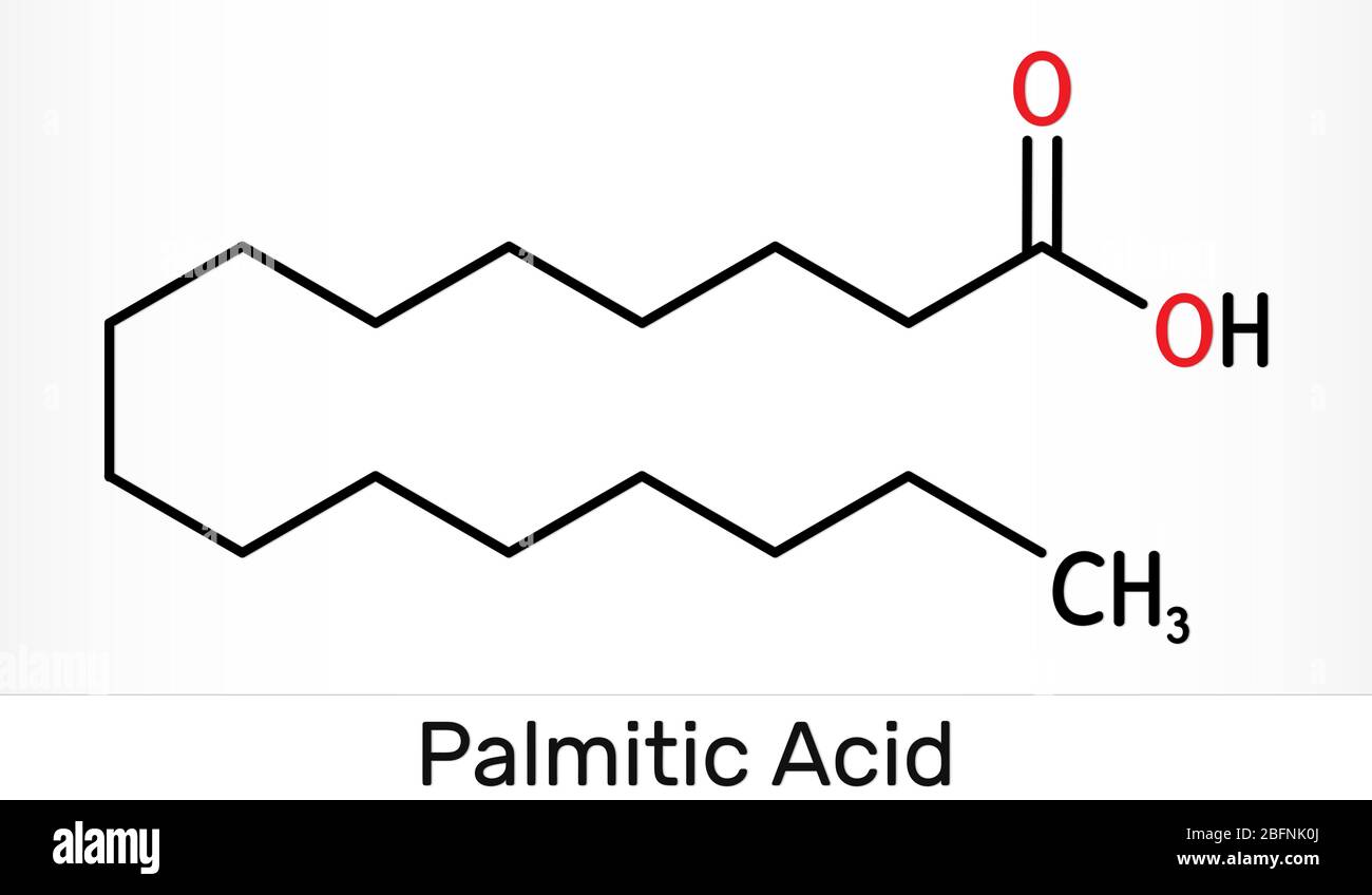 Stearic Acid Saturated Fatty Acid Molecule Stock Illustration -  Illustration of molecule, vegetable: 188425352