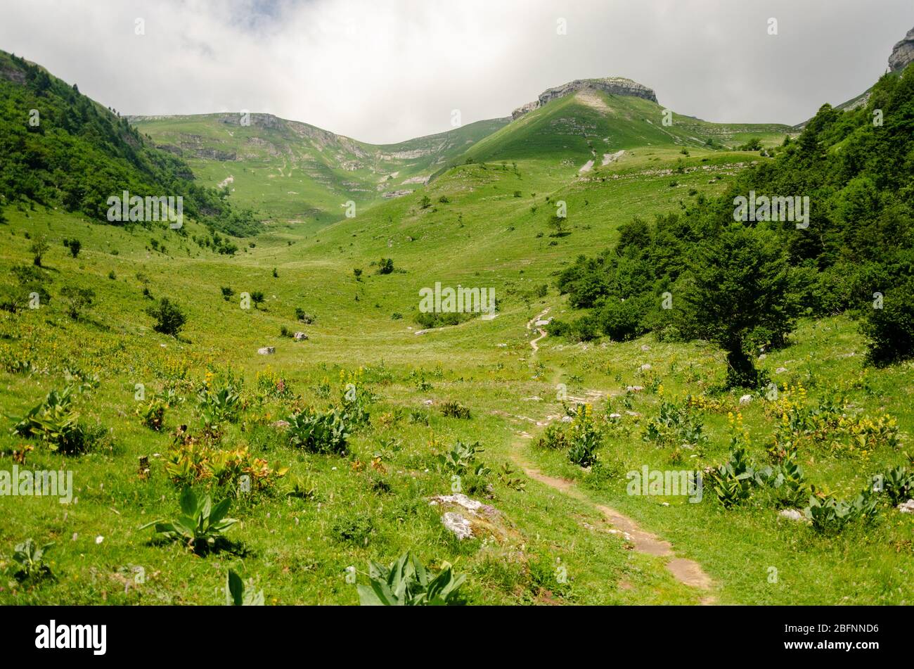 Beautiful view of the green mountainous landscape during summer season while hiking to Le Reculet in Jura Mountains, France Stock Photo