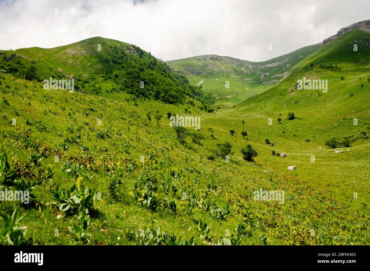 Beautiful view of the green mountainous landscape during summer season while hiking to Le Reculet in Jura Mountains, France Stock Photo