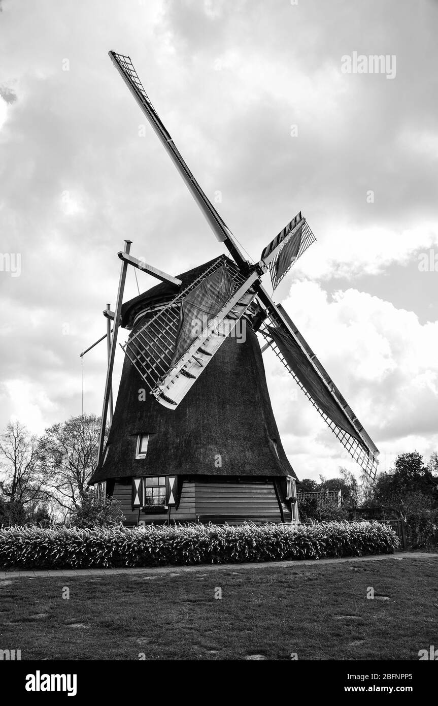 Windmill outside of Rotterdam Stock Photo