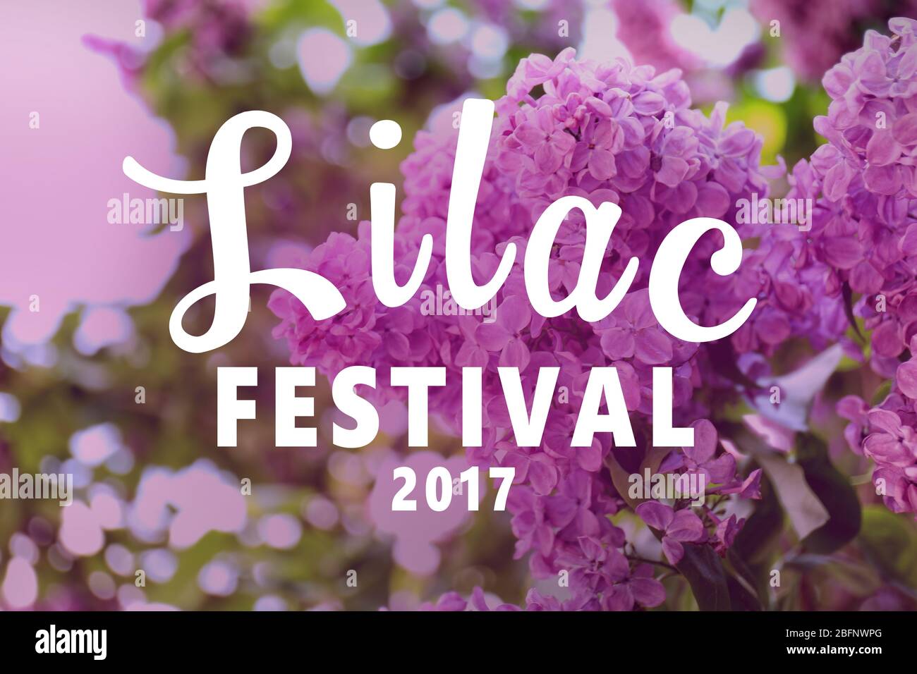 Text LILAC FESTIVAL on beautiful flowers background Stock Photo Alamy