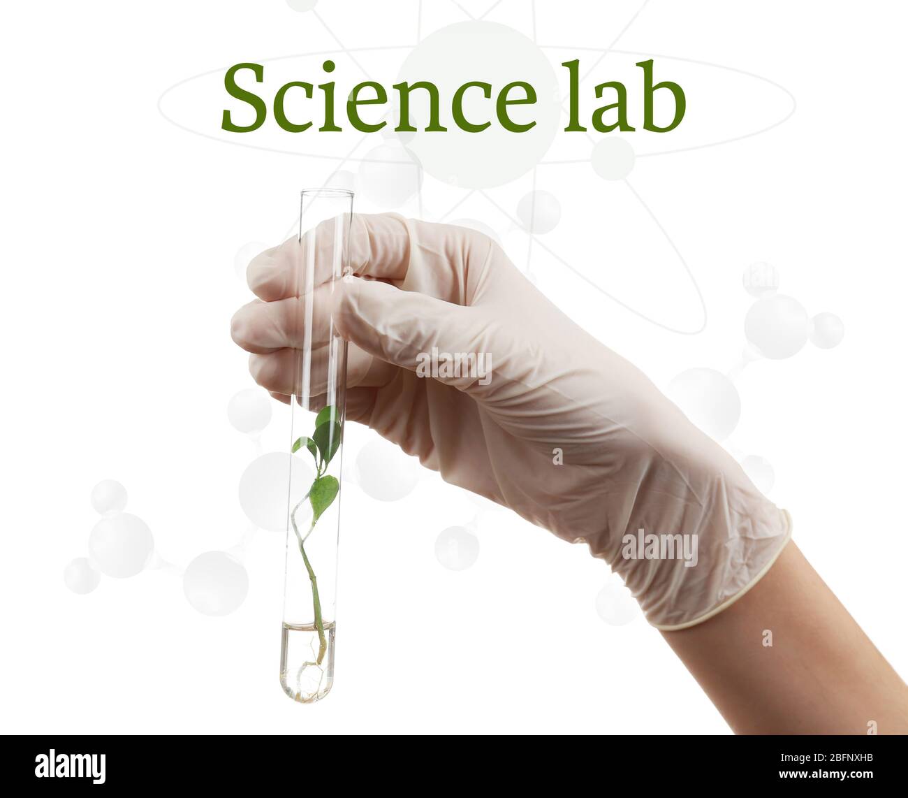 Female hand holding test tube with plant and text SCIENCE LAB on white ...