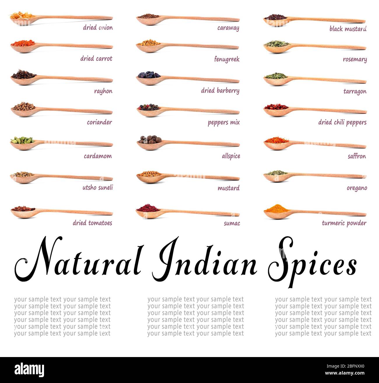 Natural Indian spices in spoons with names on white background Stock