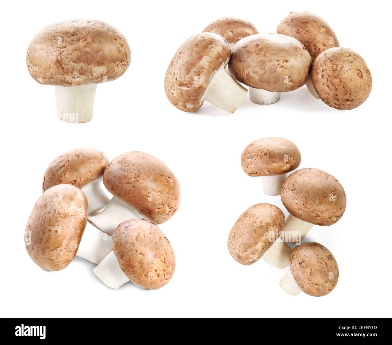 Set of raw cremini mushrooms on white background Stock Photo Alamy