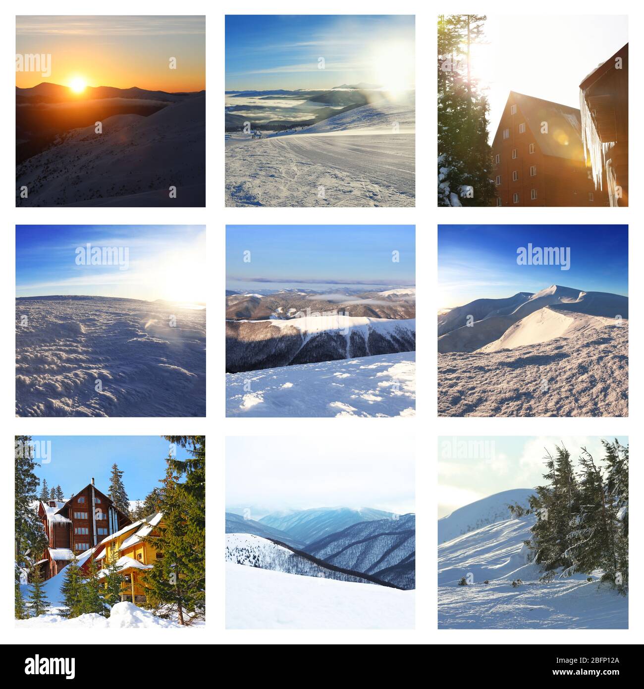 Set with beautiful winter landscapes Stock Photo