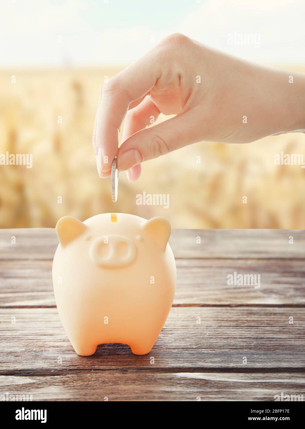 Woman putting money into piggy bank and field on background Stock Photo ...