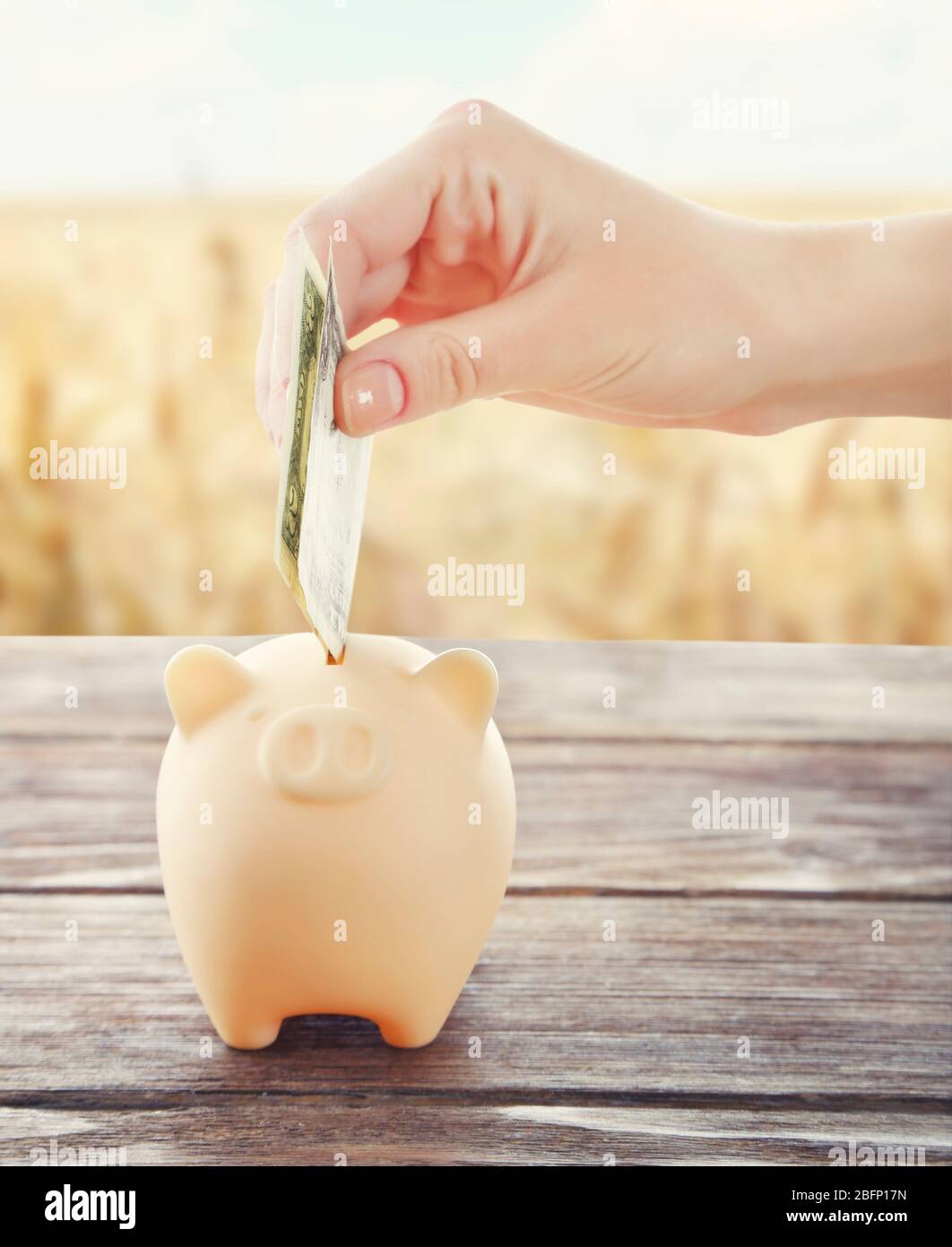Woman putting money into piggy bank and field on background Stock Photo ...