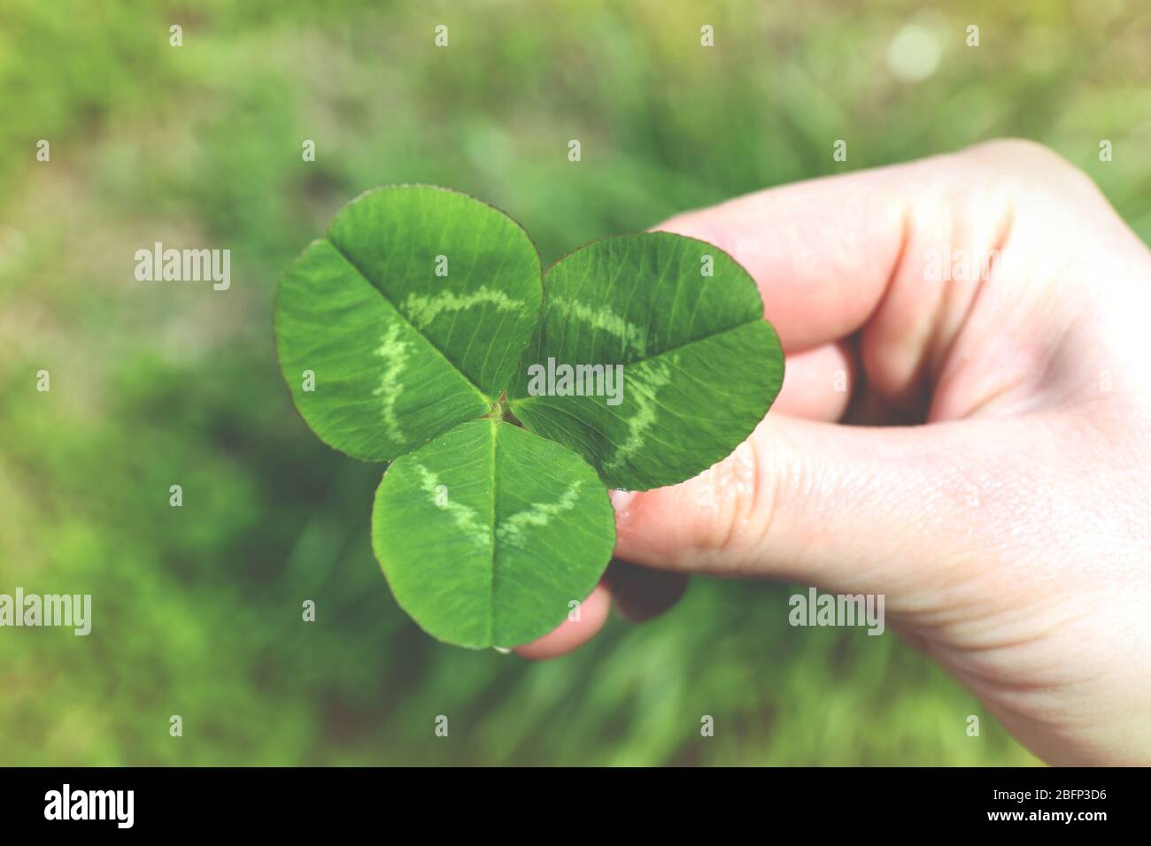 Holding up four fingers hi-res stock photography and images - Alamy
