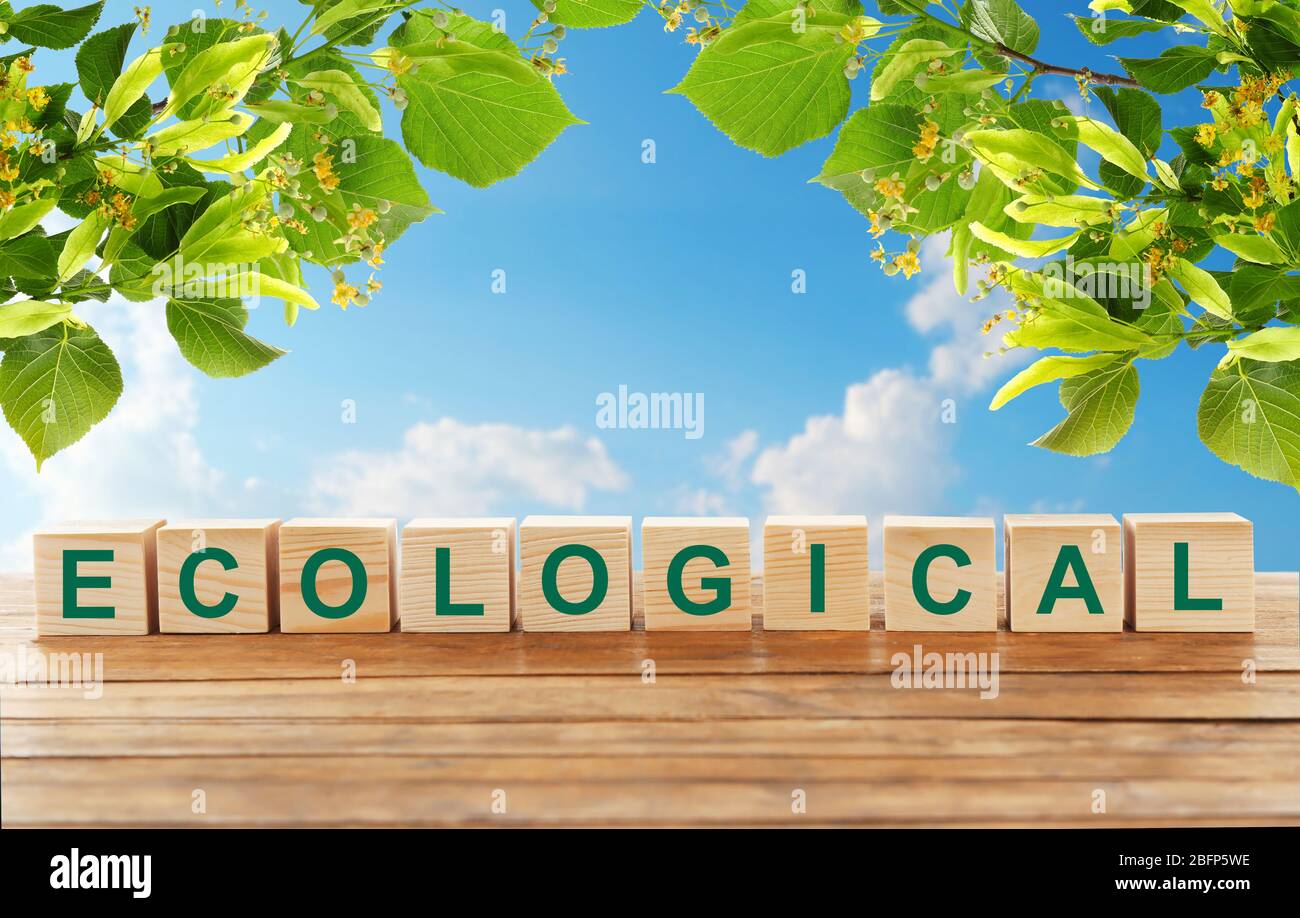 Word ecological on wooden blocks Ecological concept Stock Photo Alamy