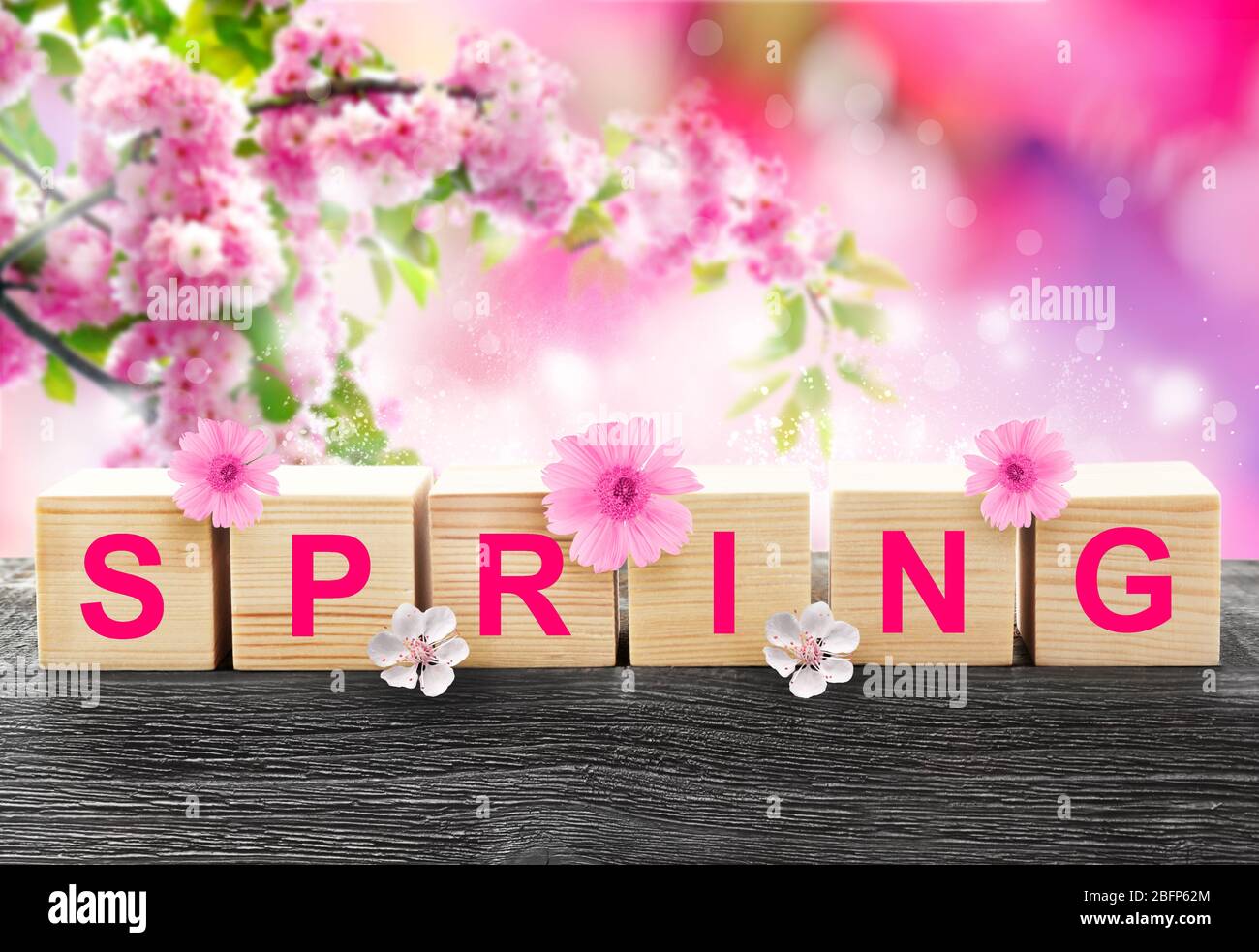 Spring Cocept Spring season concept line hi-res stock photography and images - Alamy