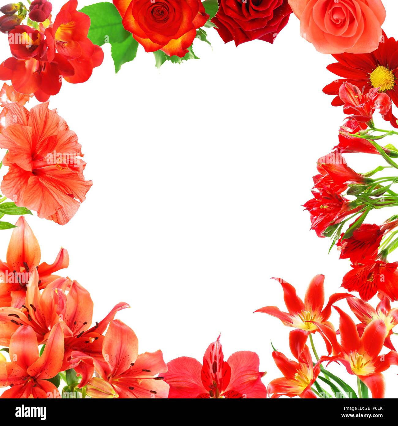 Frame of different flowers with space for text on white background ...