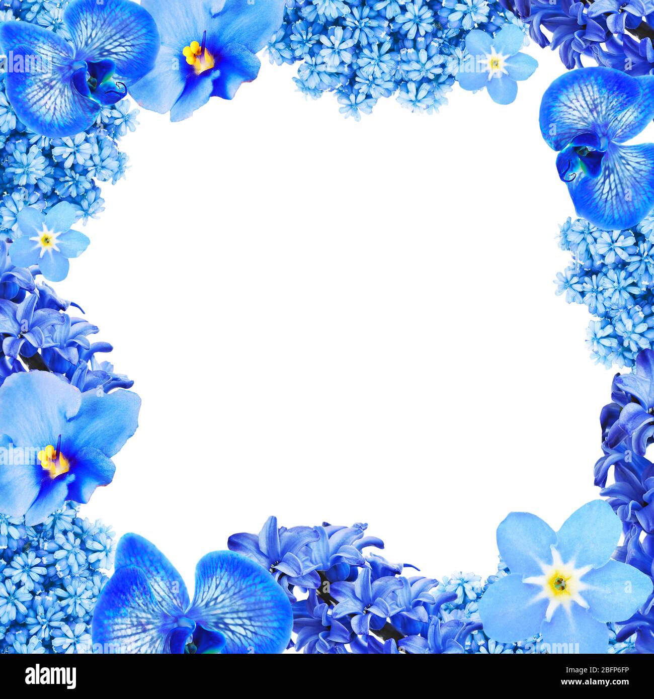 Frame of different flowers with space for text on white background ...