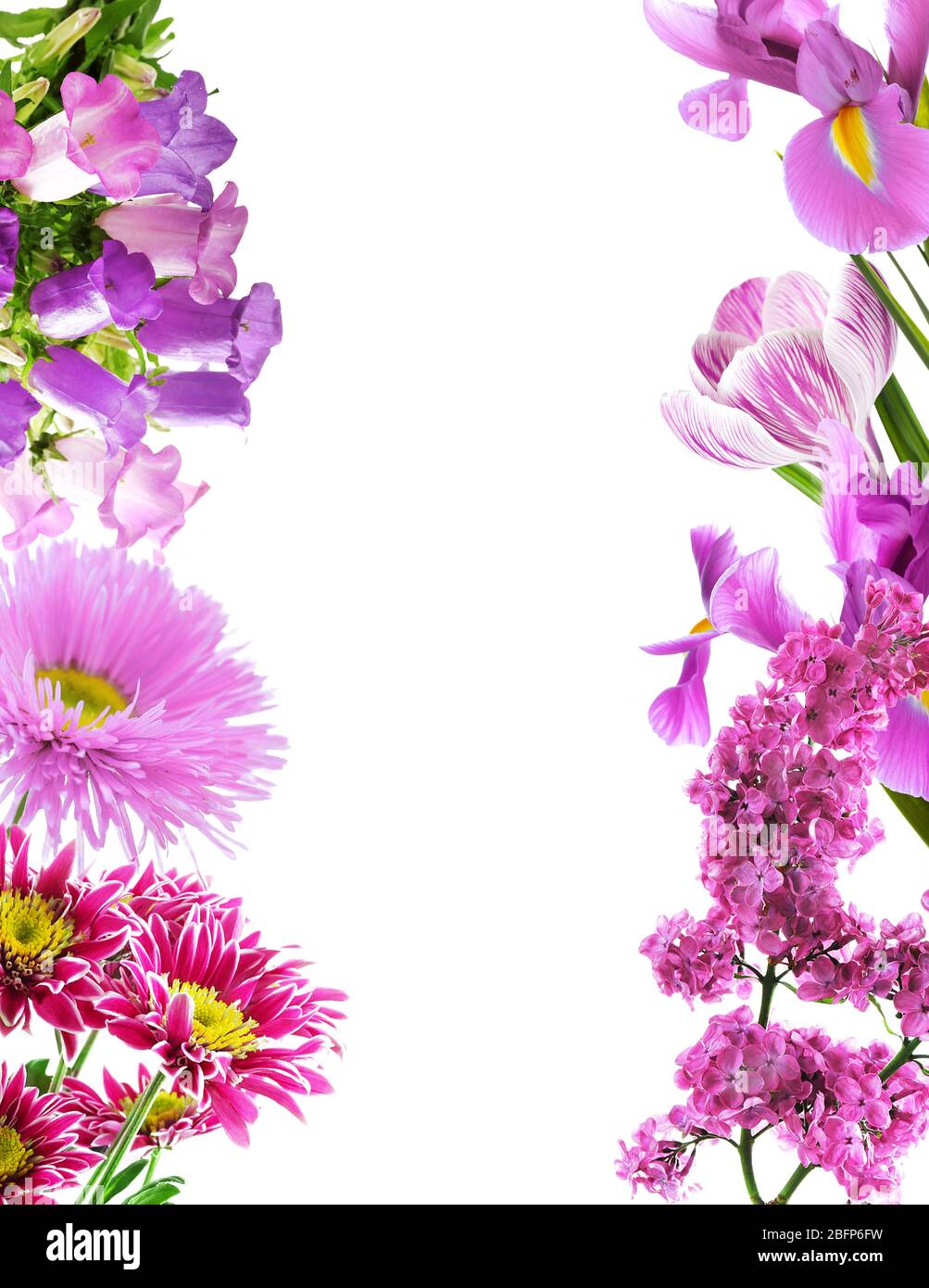 Frame of different flowers with space for text on white background ...