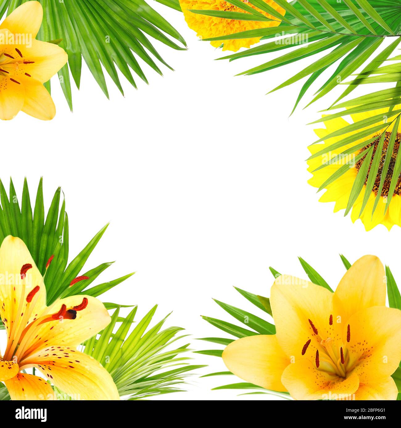 Frame of different flowers and palm leaves with space for text on white ...