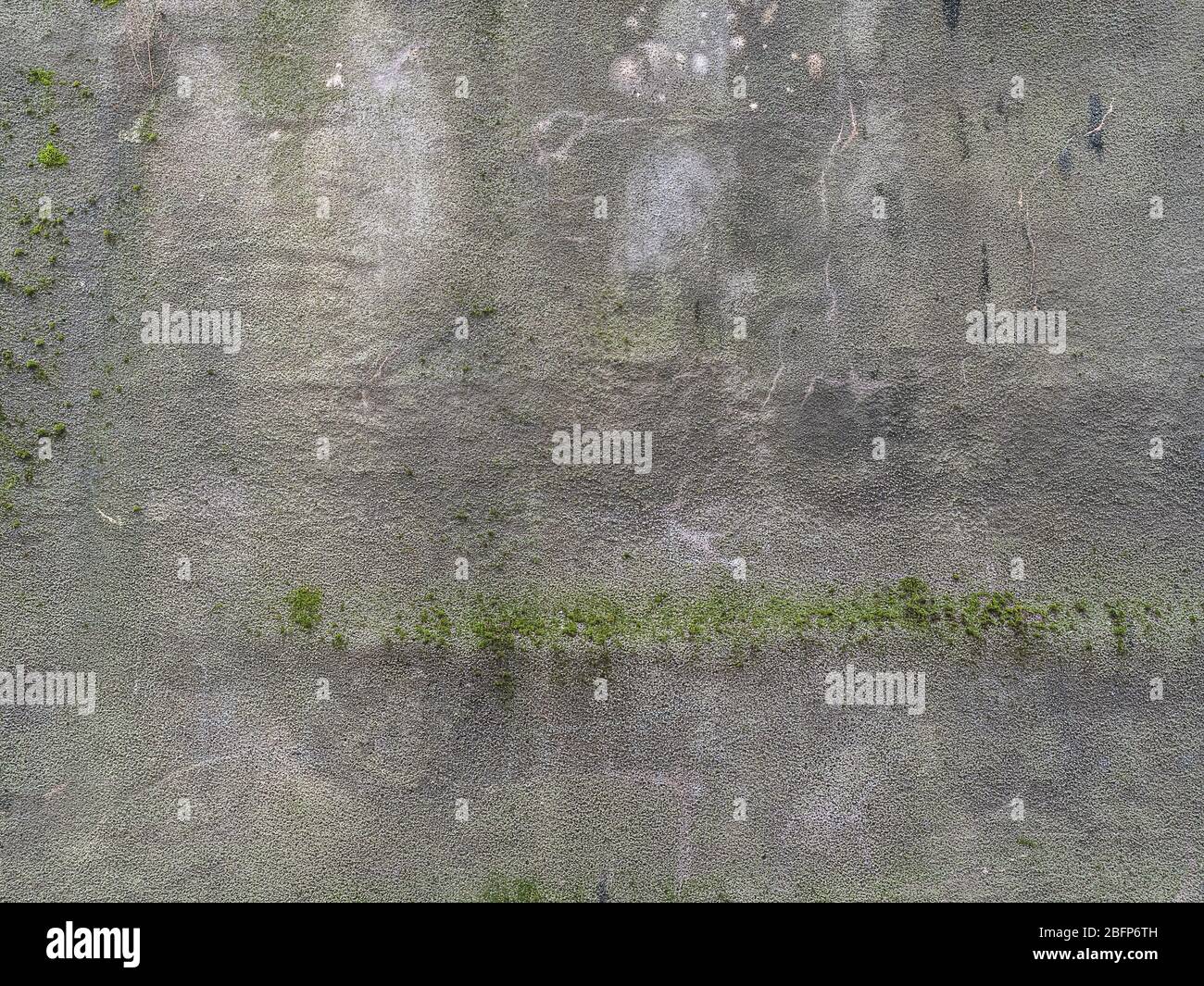Texture concrete wall with growing green moss on the street Stock Photo ...