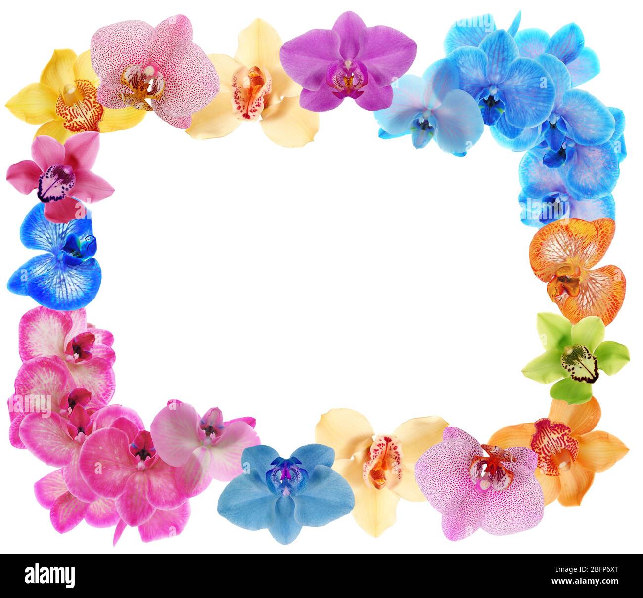 Frame of beautiful flowers with space for text on white background ...