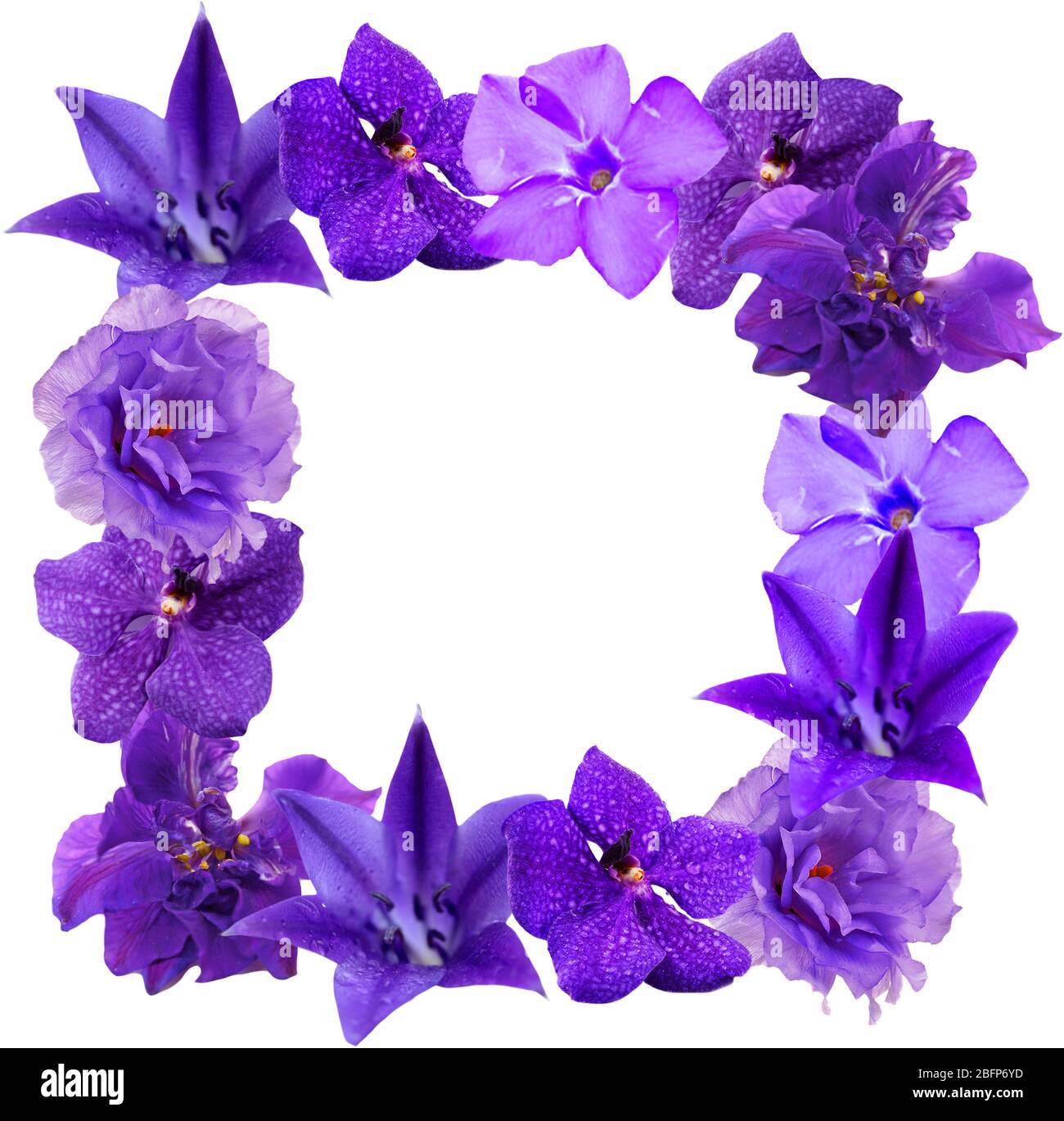 Frame of beautiful flowers with space for text on white background ...