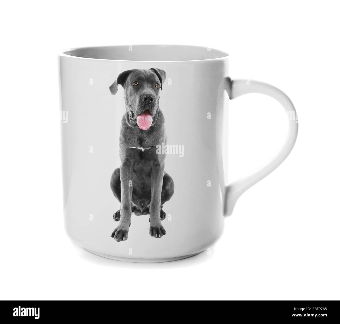 Coffee cup with photo of cute dog isolated on white Stock Photo