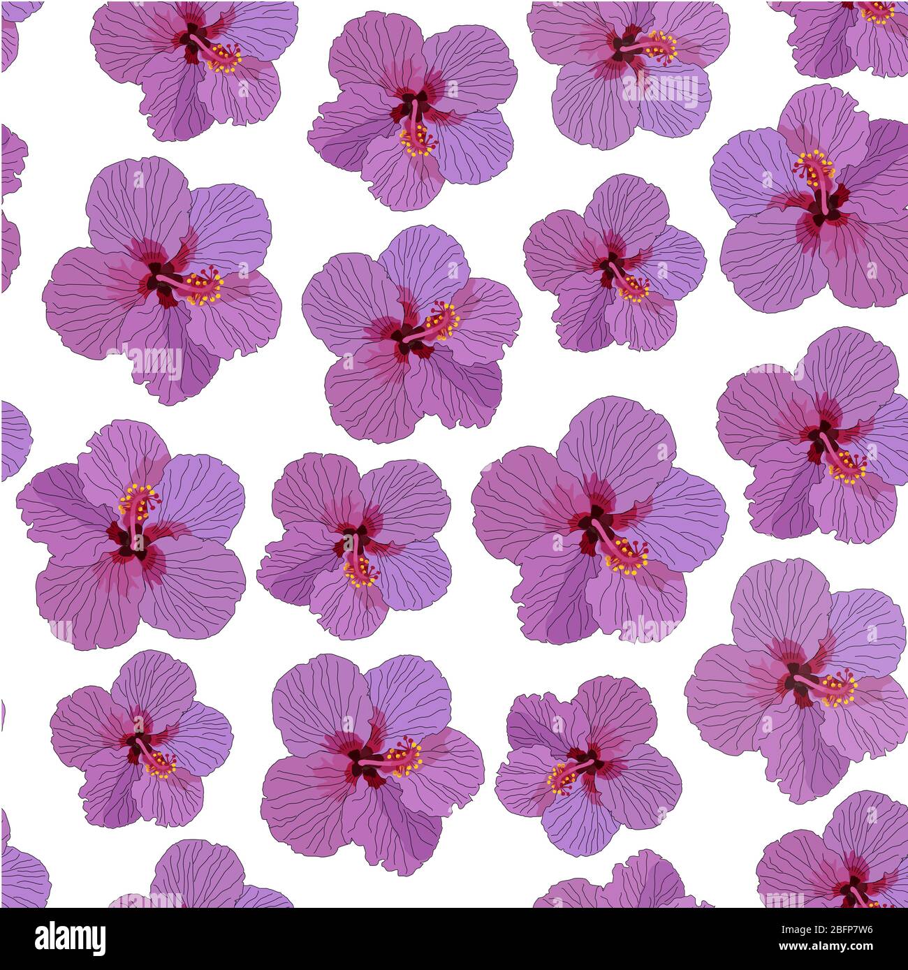 Hibiscus pink flowers seamless pattern white background illustration ...