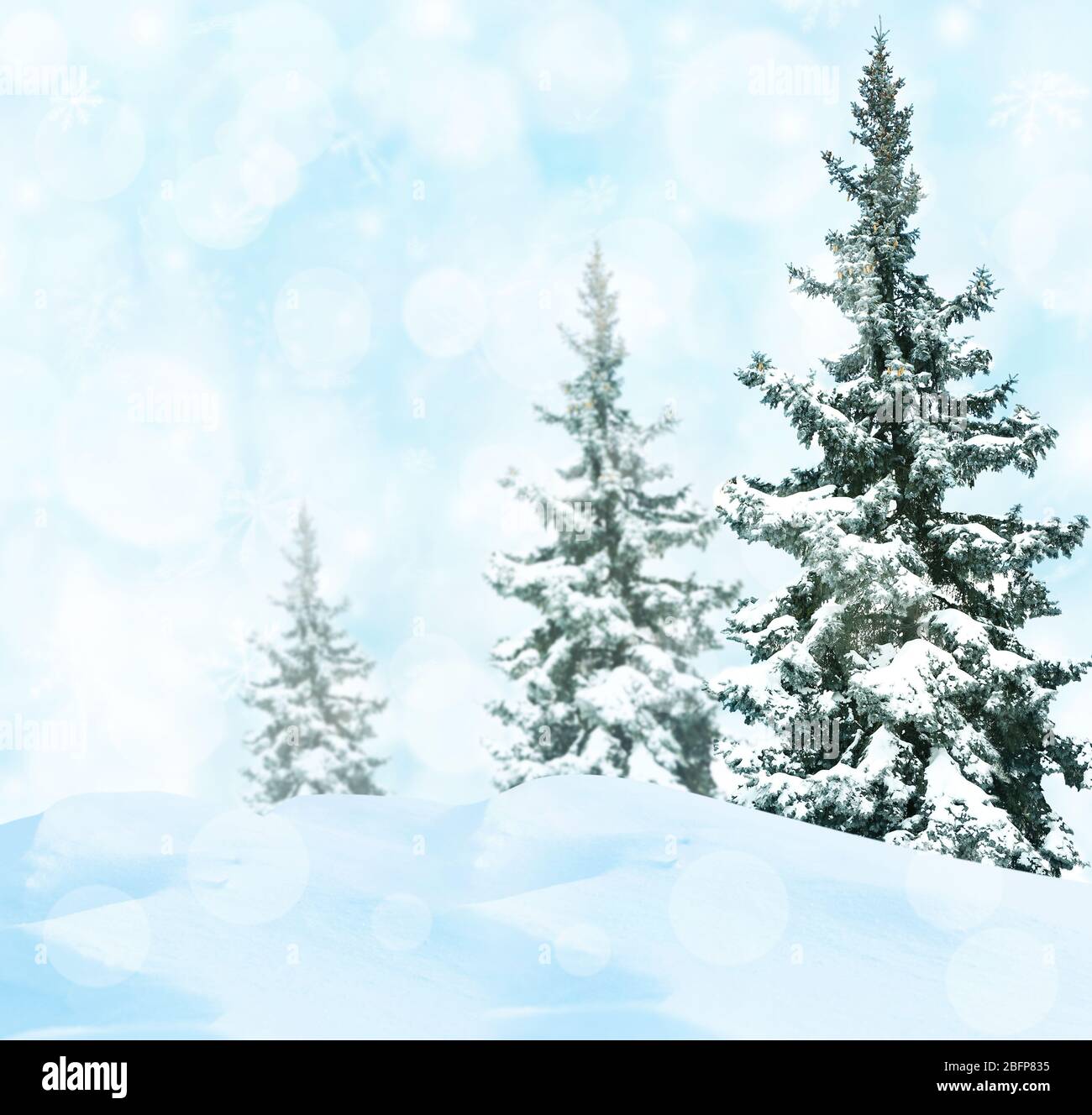 Snowflake Tree Backround Perfect snowflake hi-res stock photography and images - Alamy