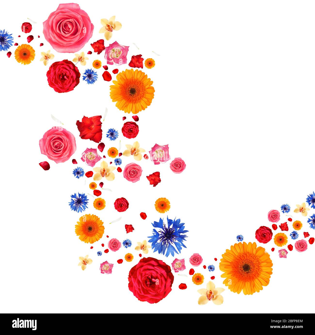 Mixed buds Cut Out Stock Images & Pictures Alamy