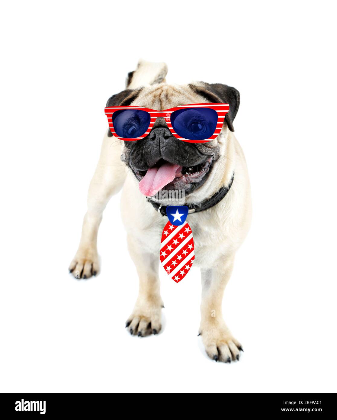 see concept sunglasses usa