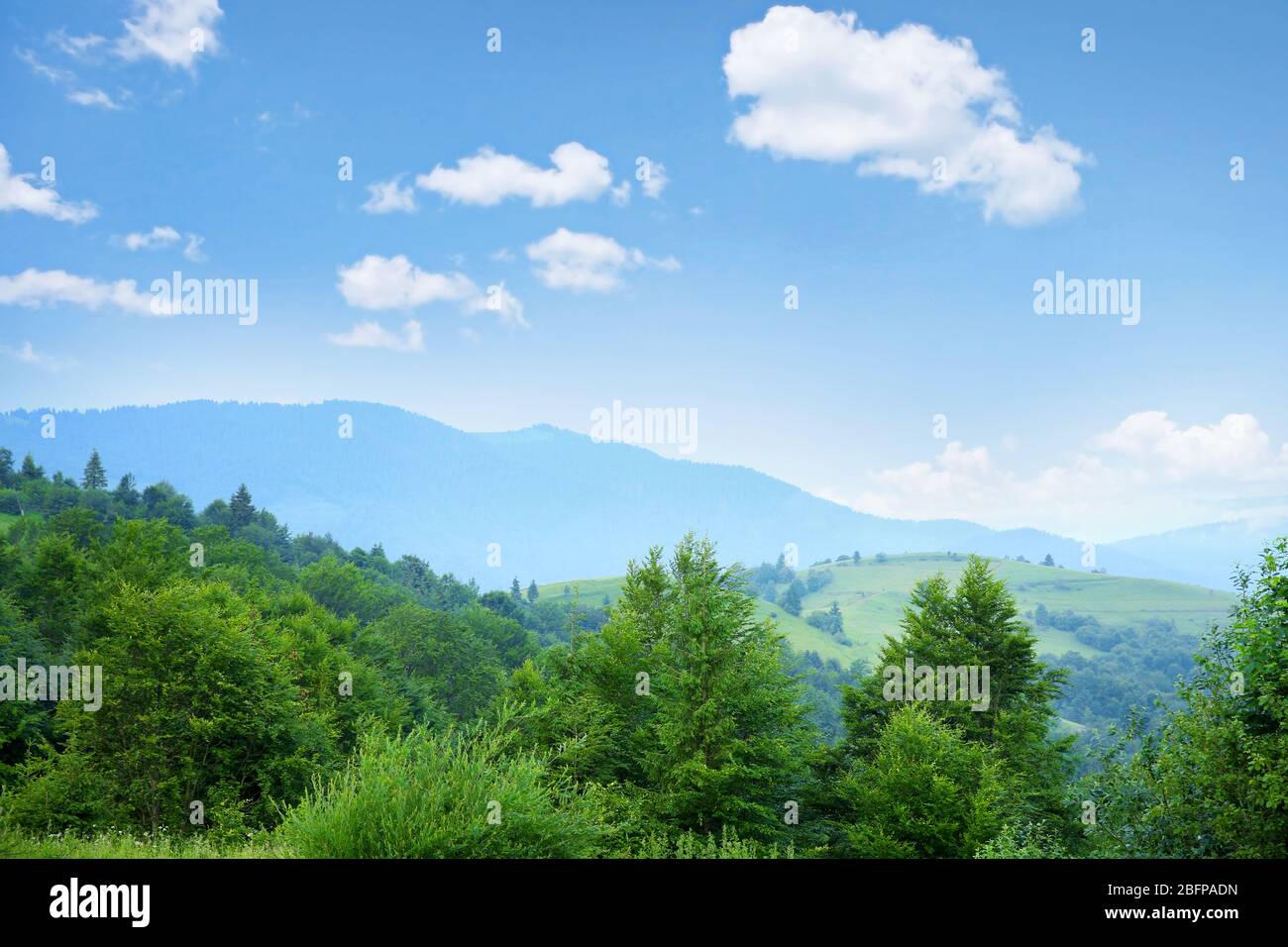 Mountain forest and blue sky background Stock Photo - Alamy