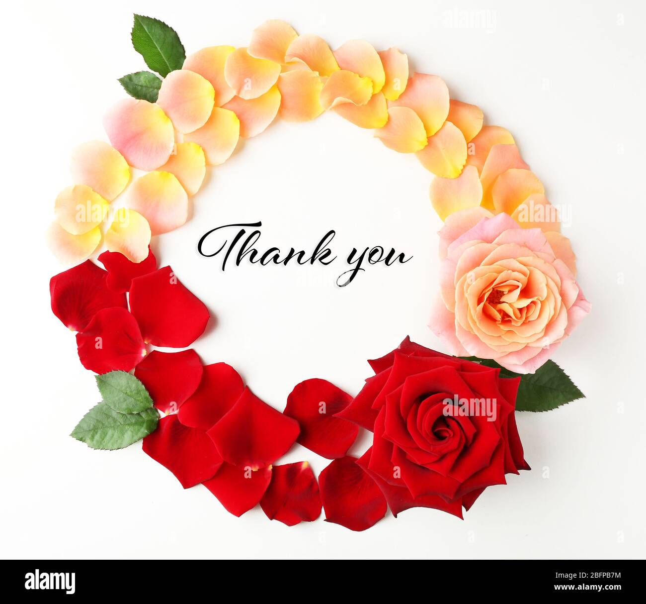Text About Roses Rose petals and text on white background Stock Photo - Alamy