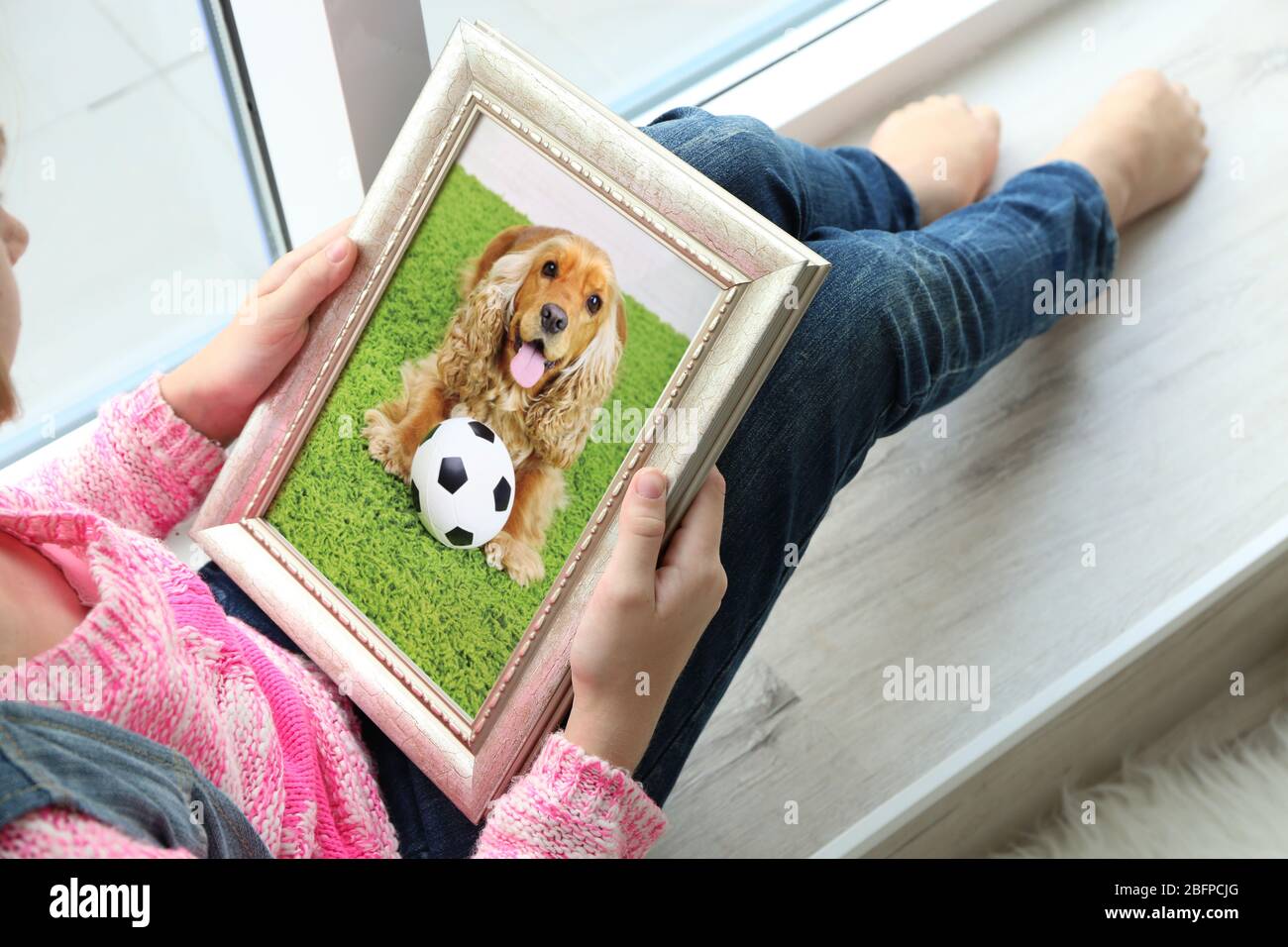 Do Dogs Have Short Memories