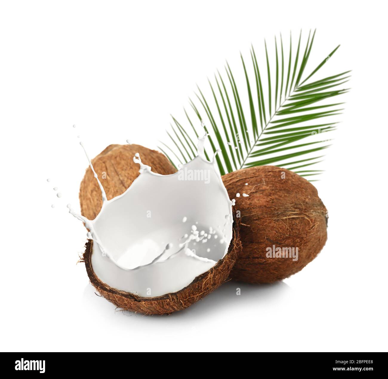 Coconuts and milk splash on white background Stock Photo