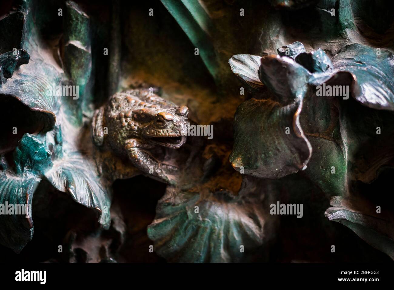 Insects metal gate hi-res stock photography and images - Alamy