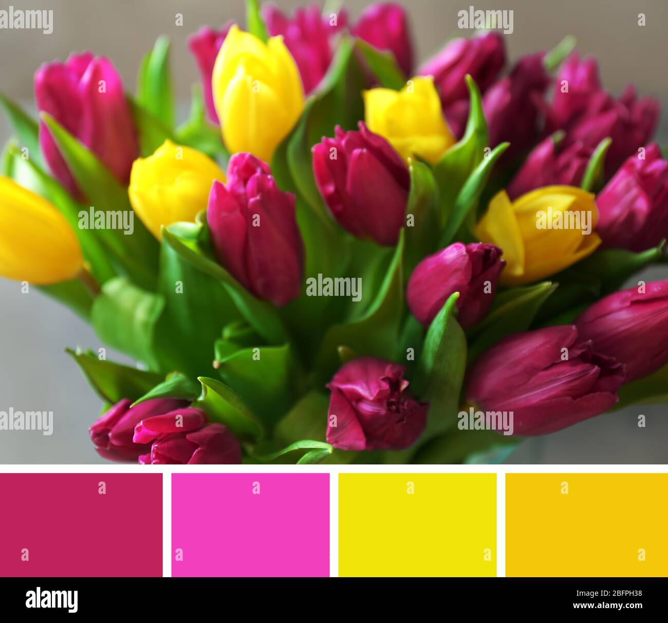 Color matching palette. Bouquet of yellow and lilac tulips, closeup Stock Photo
