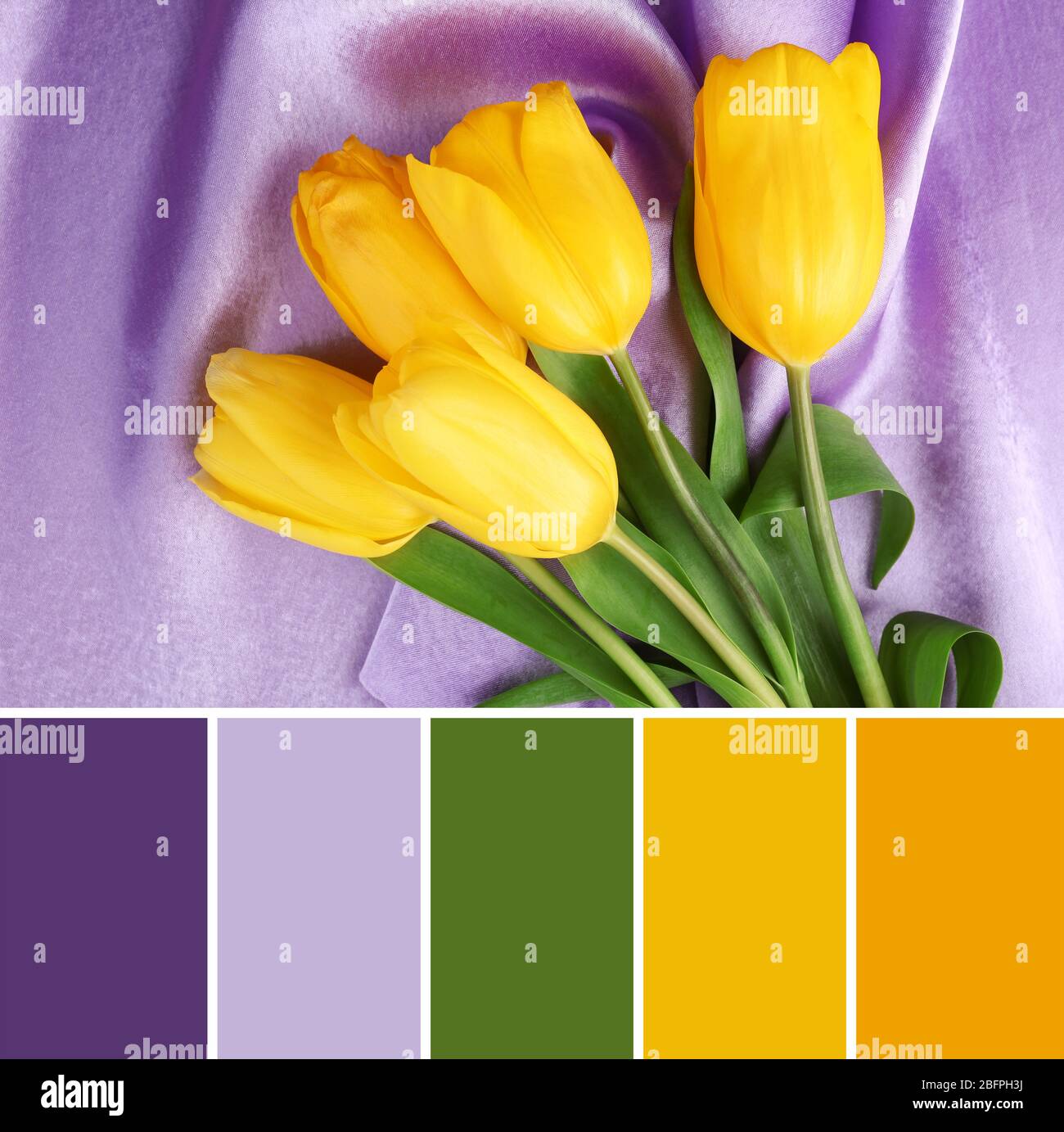 Hãy để màu vàng rực rỡ của hoa tulip phối hợp cùng chỉ lilac tinh tế tạo nên một bức tranh tuyệt đẹp. Hãy xem hình ảnh để thấy được sự hòa hợp mà màu sắc và hình tượng tạo ra.