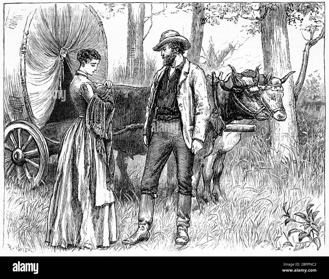 Engraving of a pioneering family and their ox cart in the days of the American wild west Stock Photo