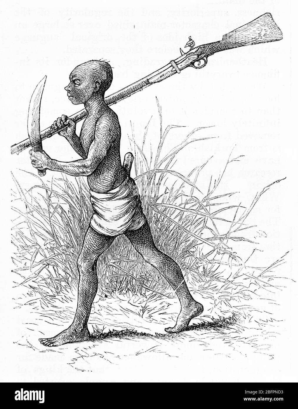 Engraving of a Ngombe warrior in AFrica, armed with a machete and a musket Stock Photo