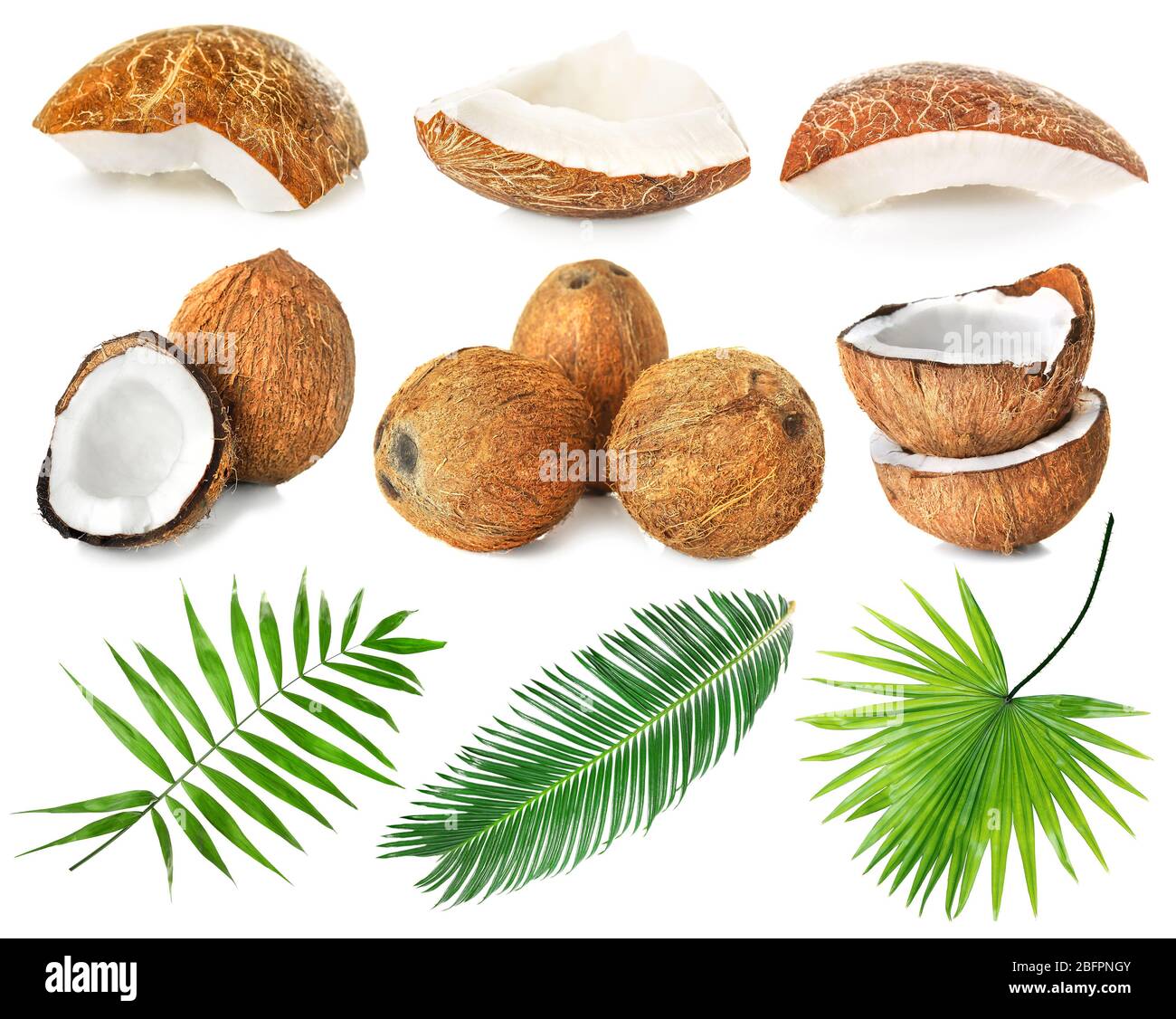 Set of coconut pieces, palm leaves and nuts on white background Stock Photo