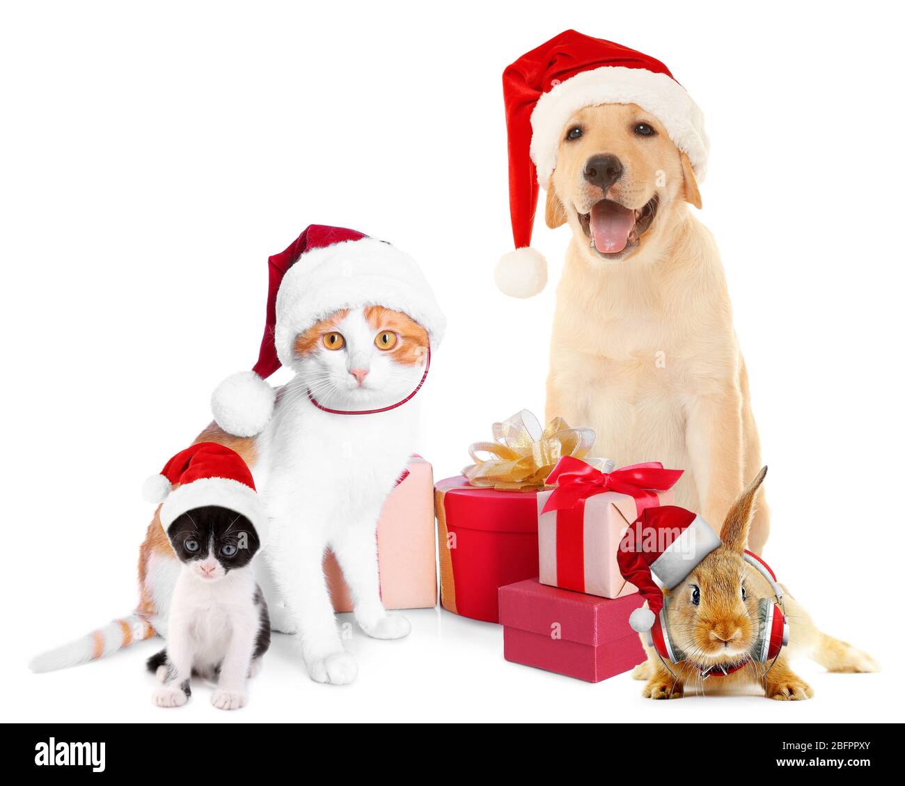 Christmas 10x12 FT Backdrop Photographers,Xmas Crew Cat Dog Bird Mouse and Rabbit Bunny with Santa Hats Grumpy Pets Picture Background for Baby Birthday Party Wedding Vinyl Studio Props Photography