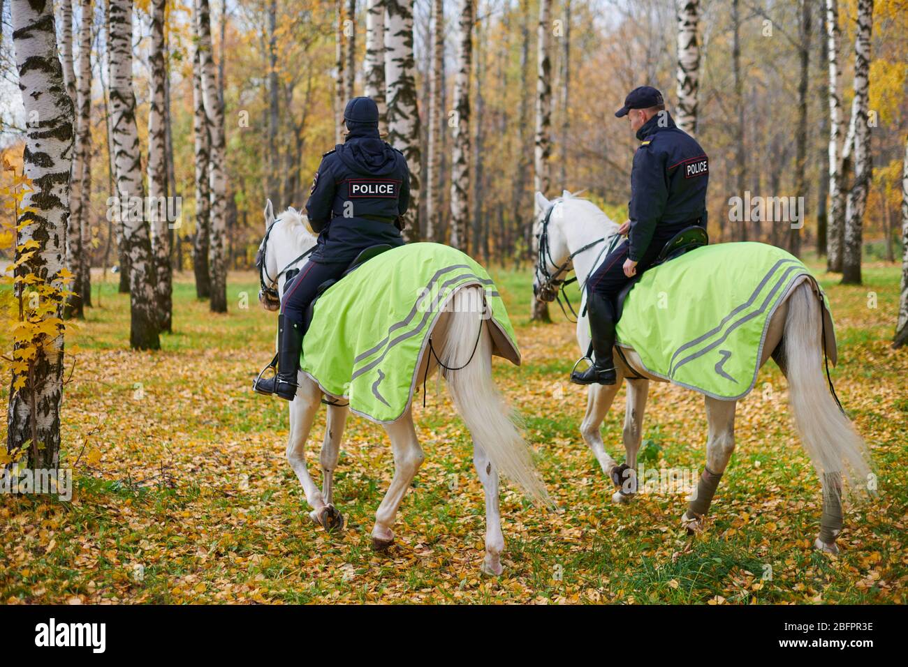 Mounted police in autumn city park, back view. Two police officers on ...