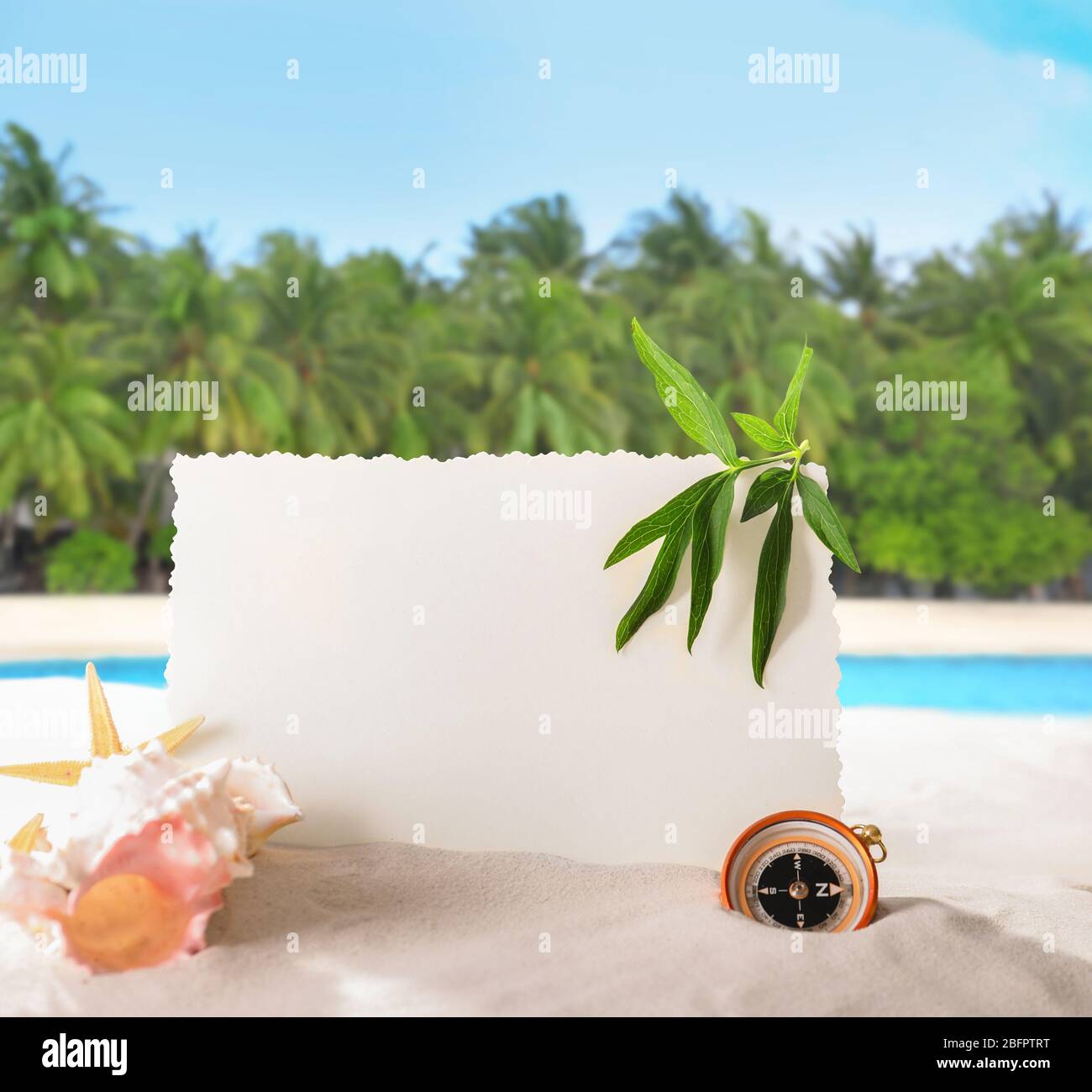 Blank card with sea shell and compass on beach. Summer vacation concept Stock Photo