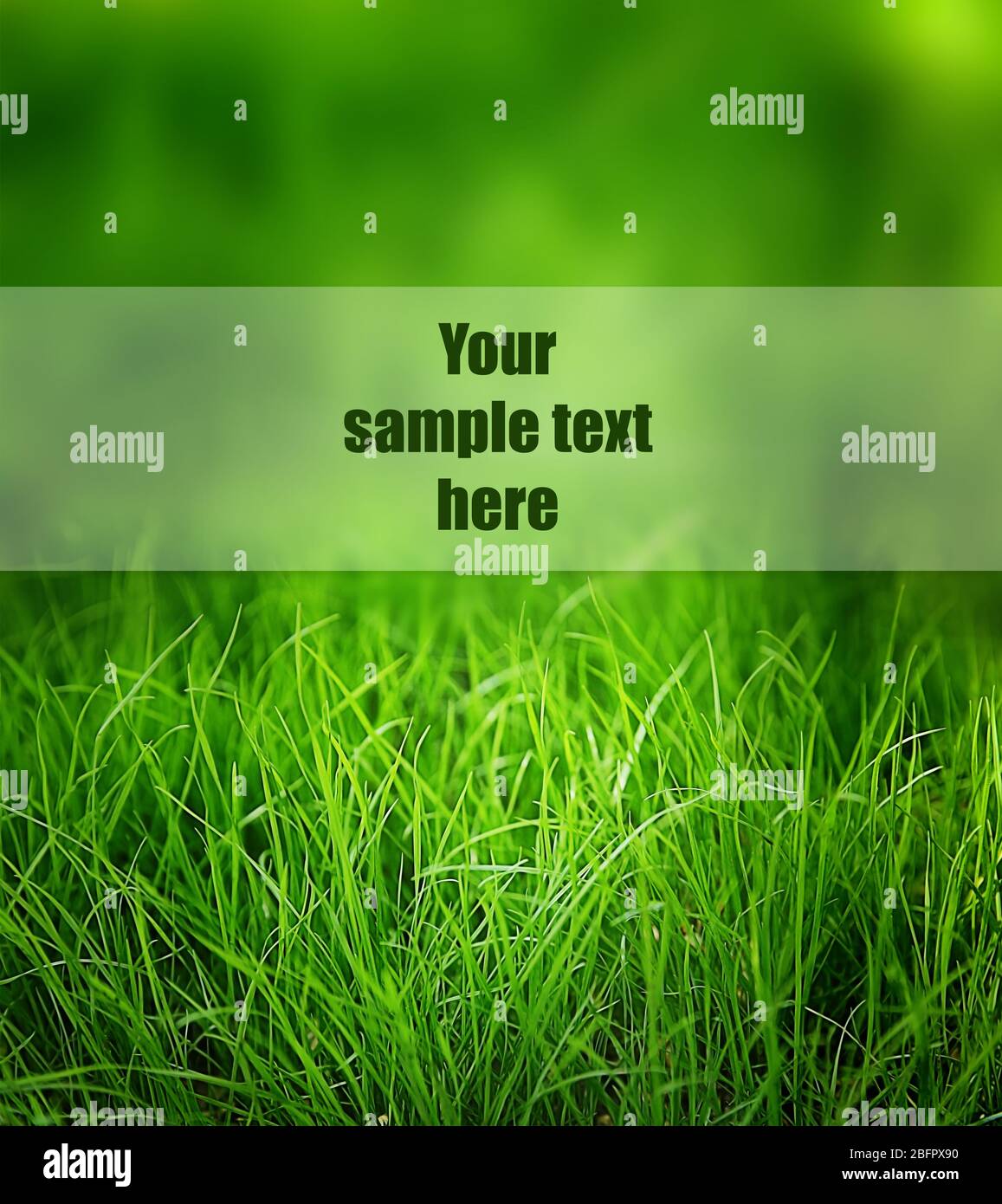 Green grass with space for text Stock Photo - Alamy