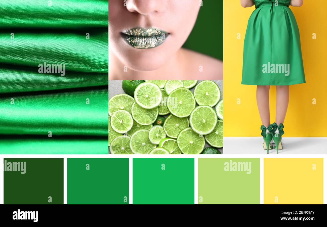 Stylish collage with green color palette Stock Photo - Alamy