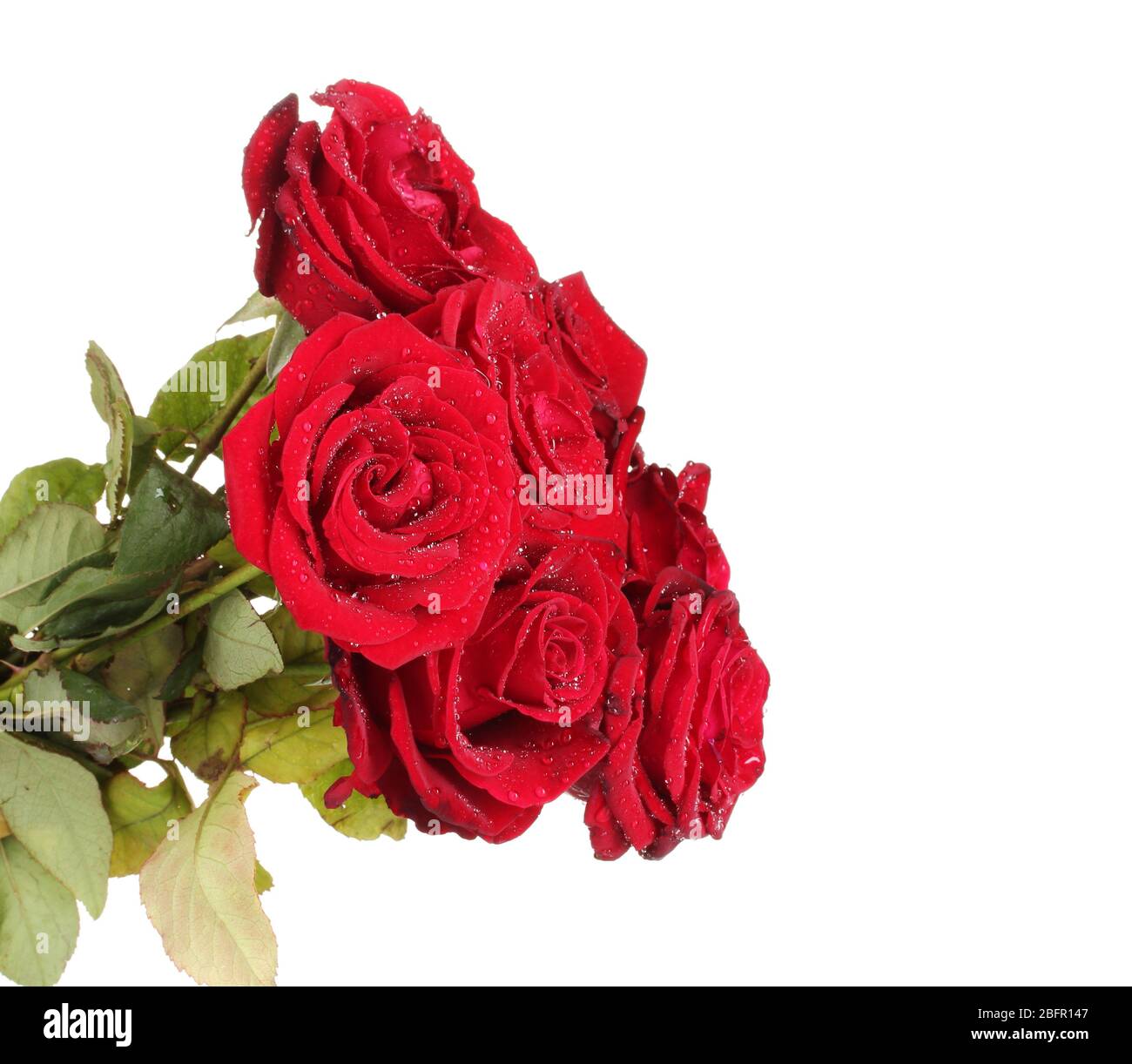 beautiful bouquet of red roses isolated on white Stock Photo - Alamy