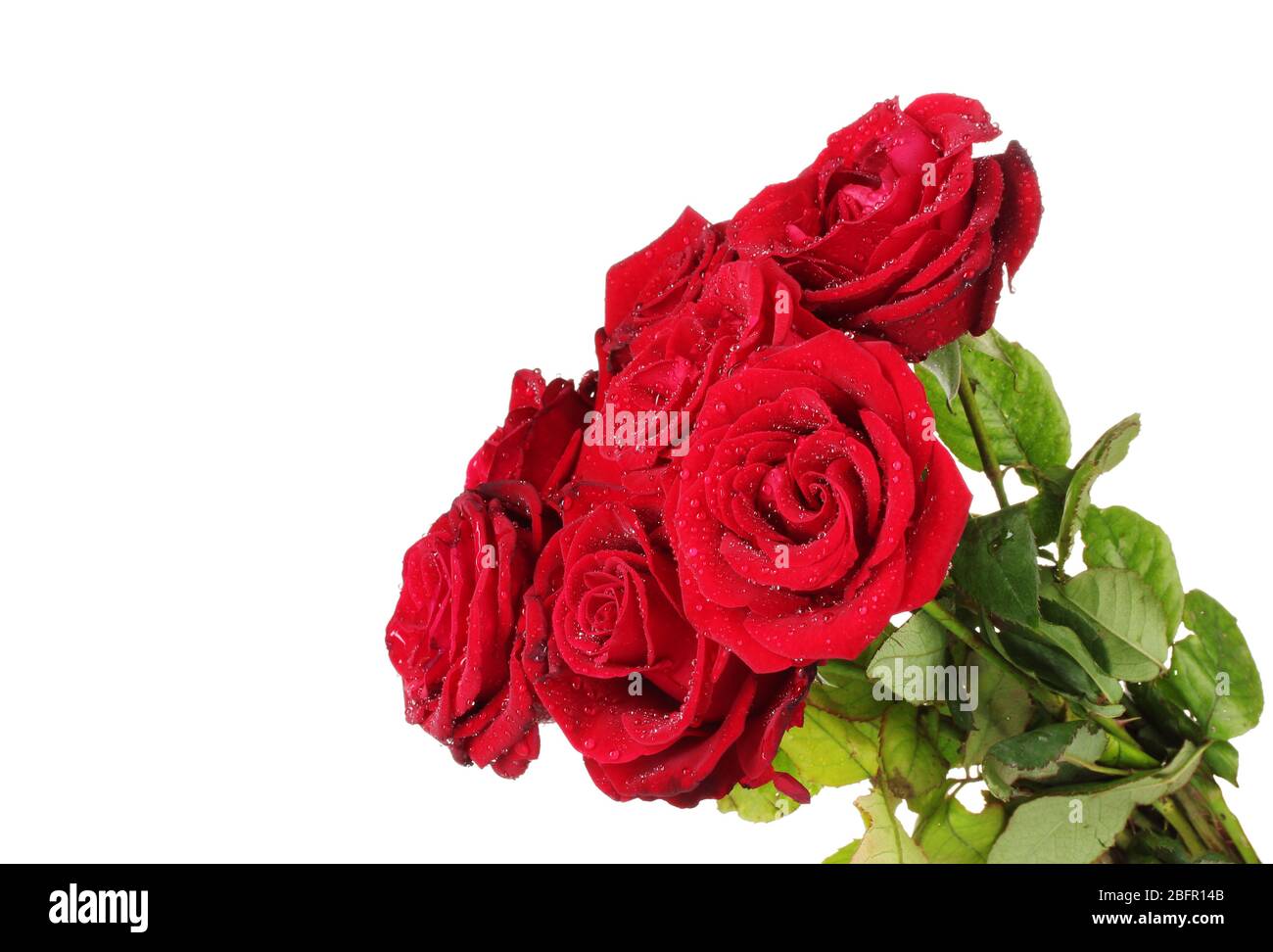 beautiful bouquet of red roses isolated on white Stock Photo - Alamy